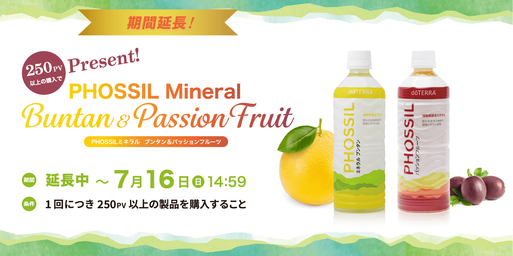 ドテラ ミネラル パッションフルーツ ブンタン - 健康用品