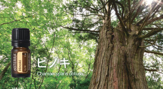 11月のPOM – ドテラ パスポートプログラム | doTERRA TIMES