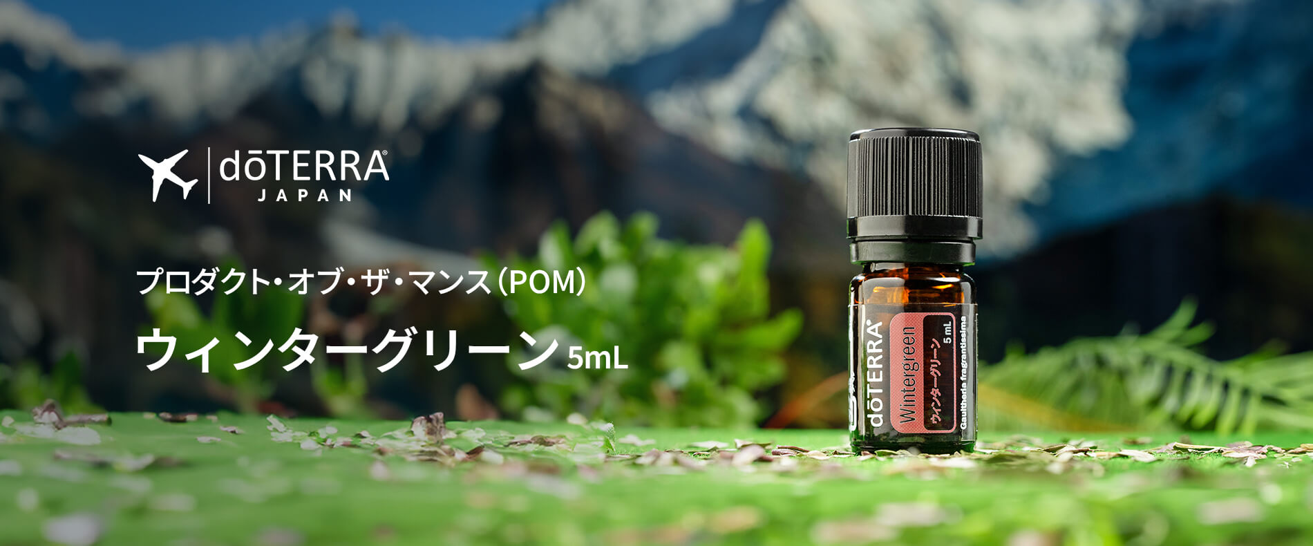 2025年1月のPOMウィンターグリーン 5mL