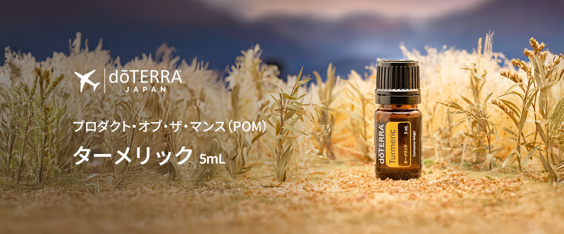 2月のPOM - ターメリック 5mL